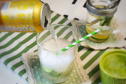 怎样自己做汽水饮料